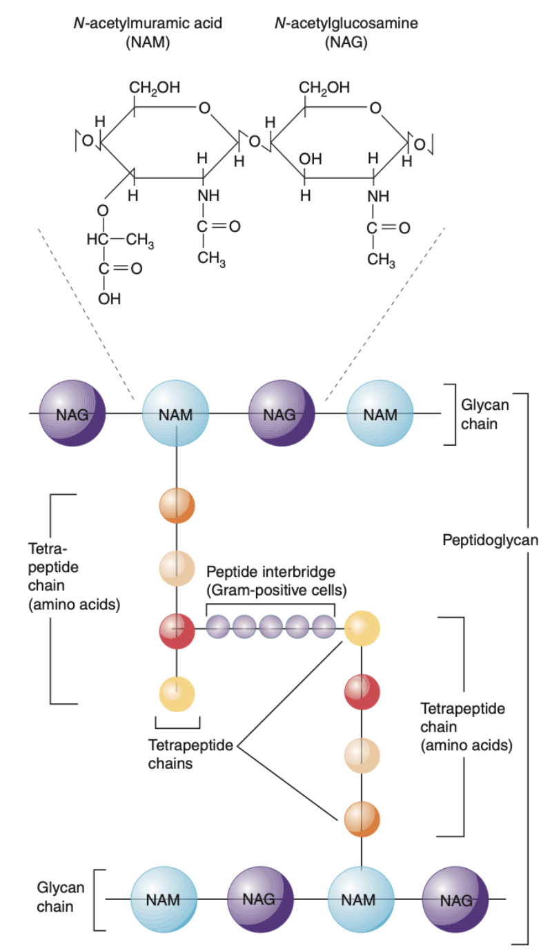 Pasted image 20241231113423.png