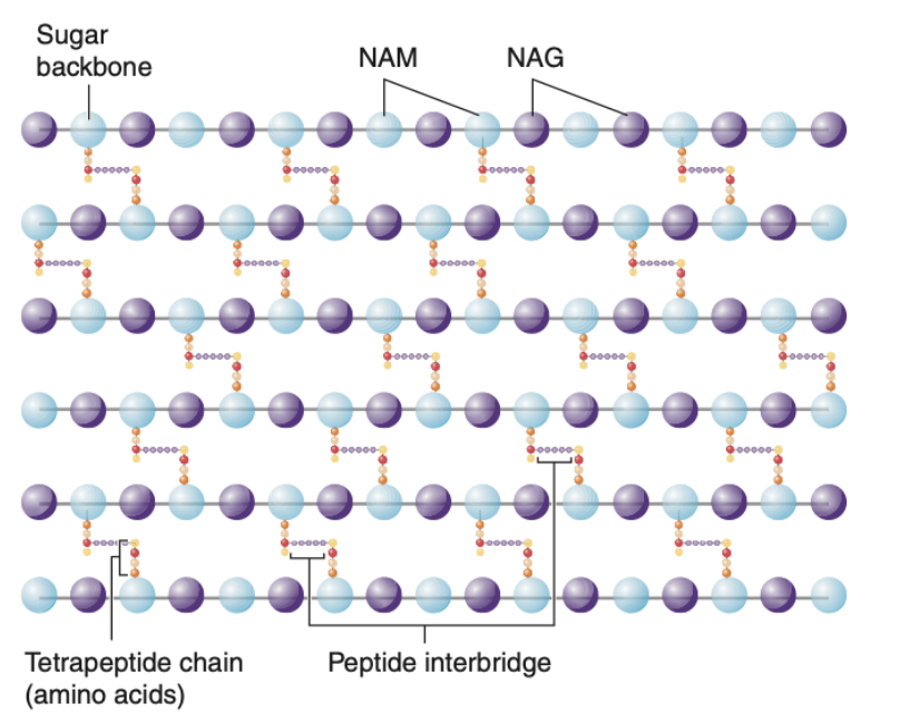 Pasted image 20241231113451.png