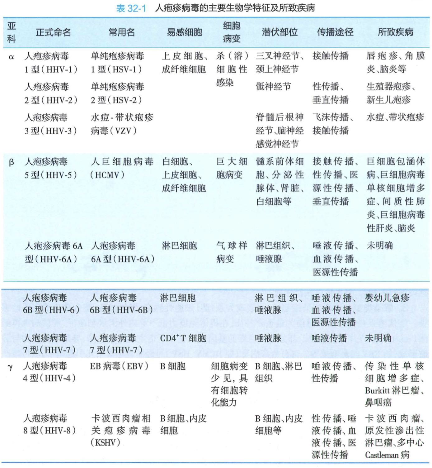 人疱疹病毒的主要生物学特征及所致疾病.png